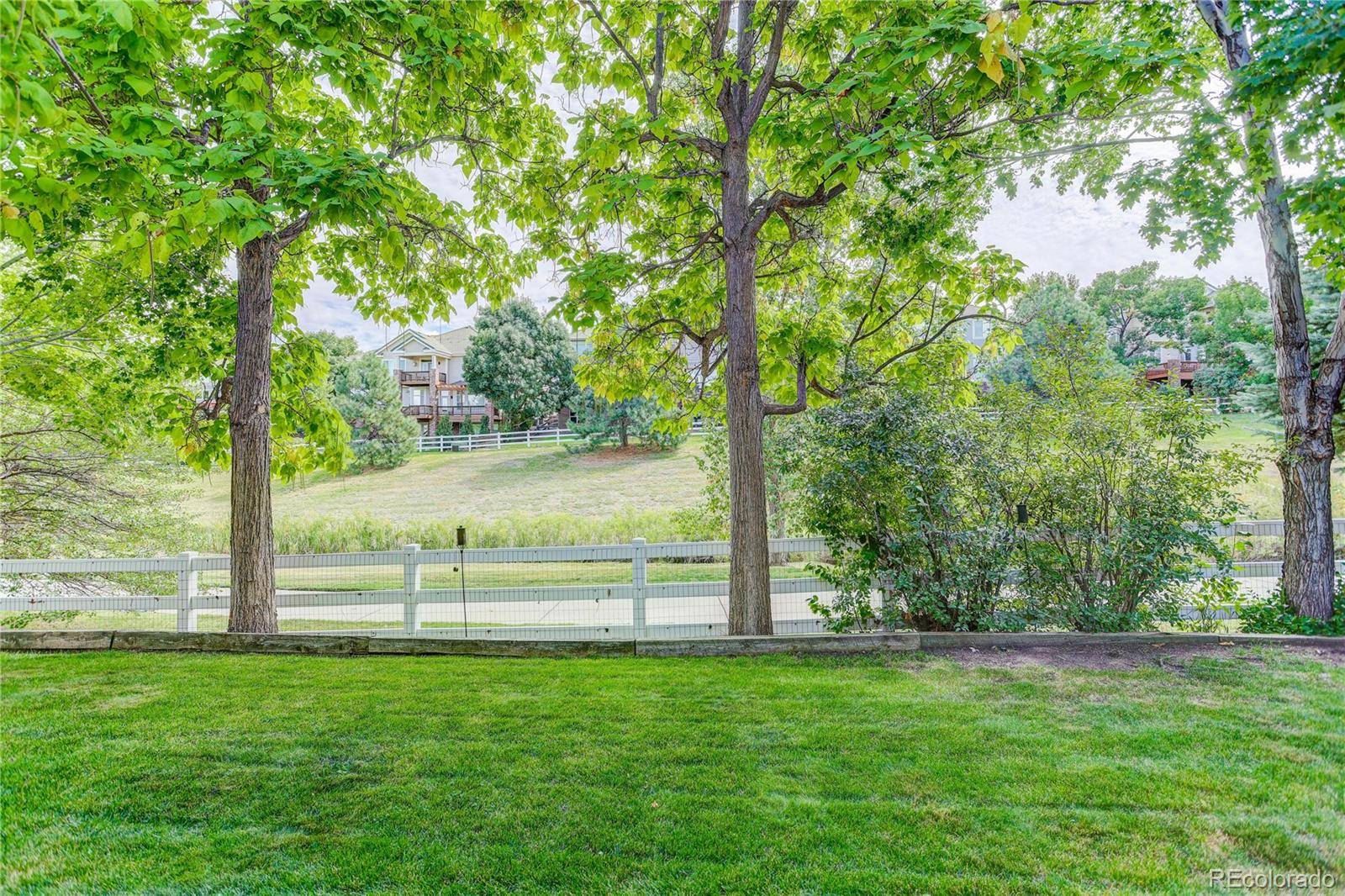 Lone Tree, CO 80124,10032 Astoria CT