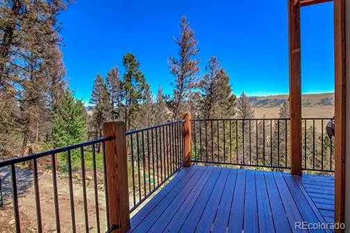 Fairplay, CO 80440,3222 Middle Fork VIS