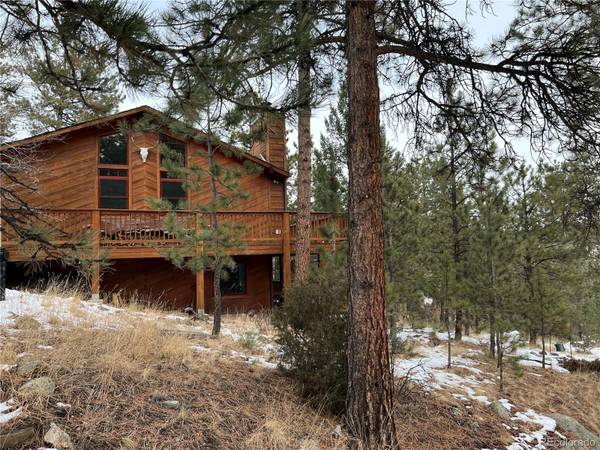 4646 County Road 72, Bailey, CO 80421