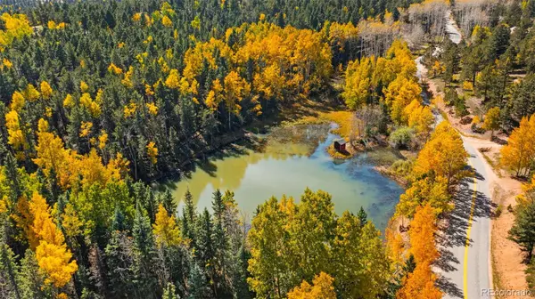 Woodland Park, CO 80863,2558 Edlowe RD