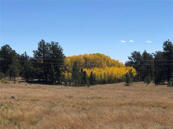 306 Jasper WAY, Hartsel, CO 80449