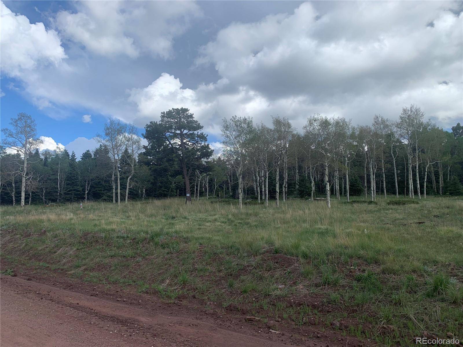 Fort Garland, CO 81133,2941 FORBES PARK RD