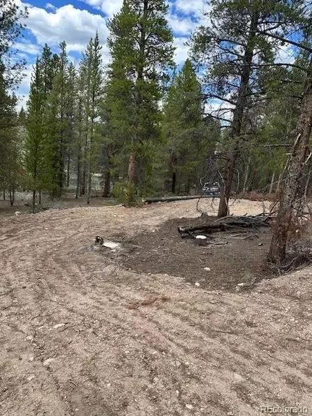 123 Lodgepole DR, Leadville, CO 80461