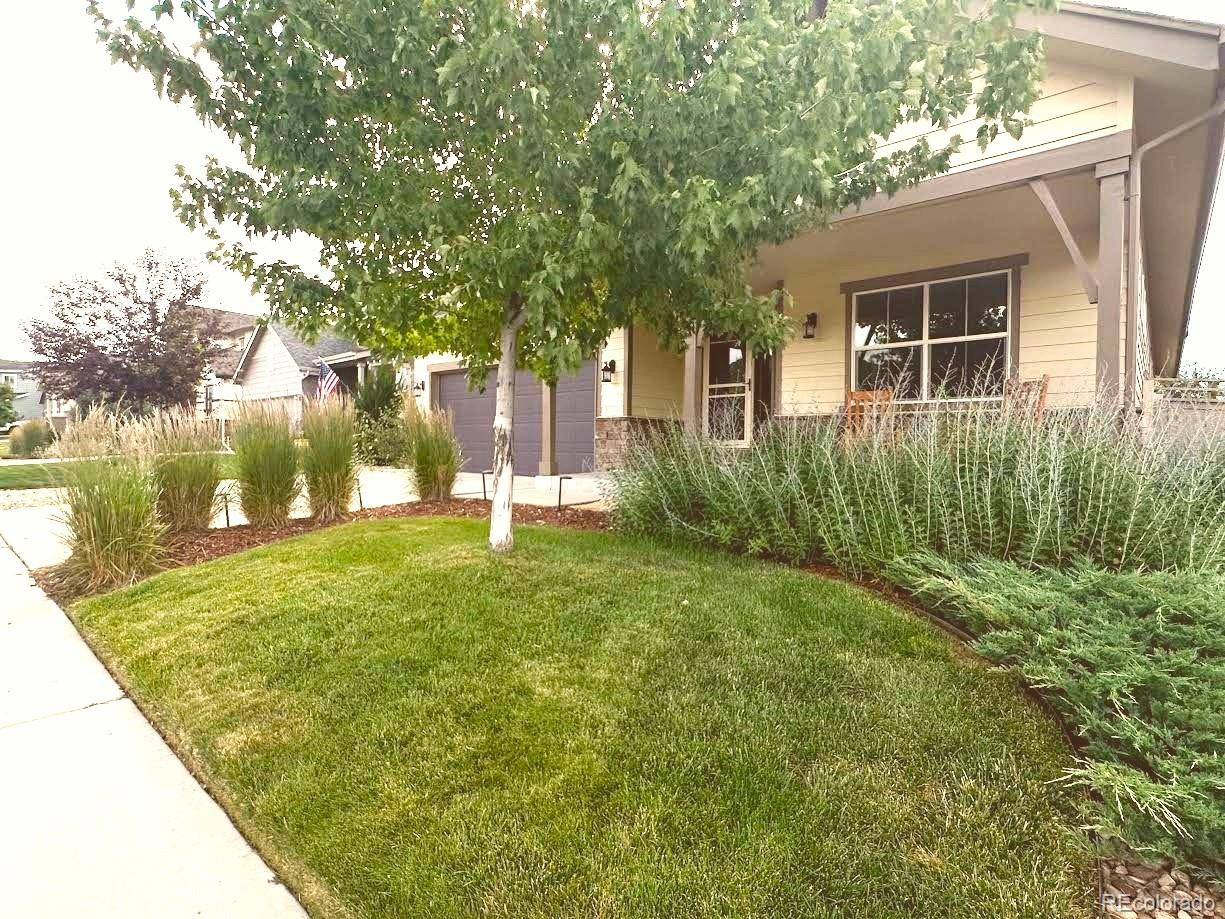 Castle Rock, CO 80104,4032 Donnington CIR