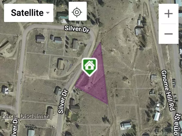 Creede, CO 81130,49 Silver DR