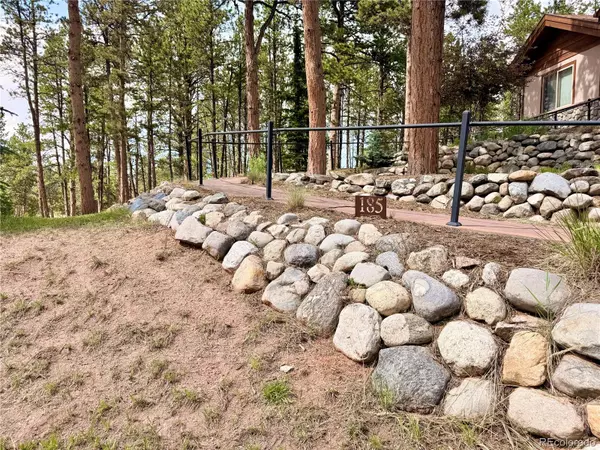 Woodland Park, CO 80863,185 Wildrose CT