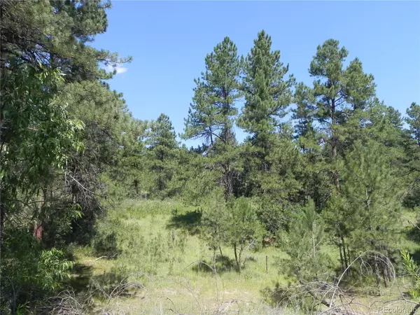 Larkspur, CO 80118,745 Poncho RD