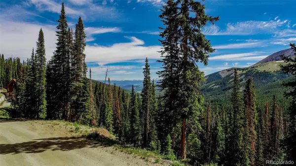 434 Carroll LN, Breckenridge, CO 80424