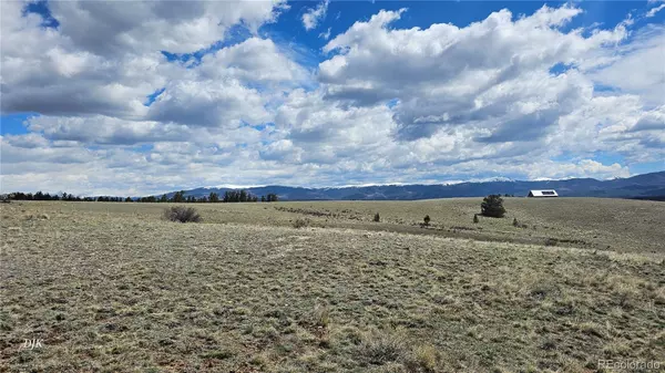 Jefferson, CO 80456,329 Albino RD