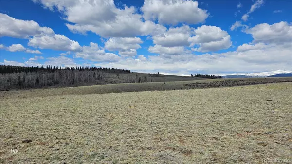 Jefferson, CO 80456,329 Albino RD