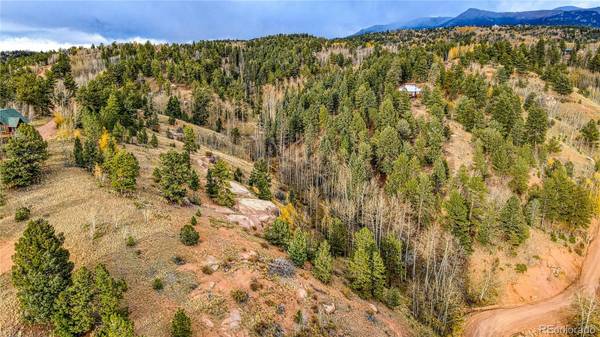 72 Princess WAY, Cripple Creek, CO 80813