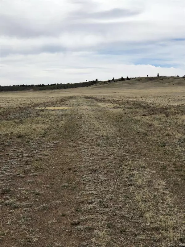 Hartsel, CO 80449,000 Lipan RD