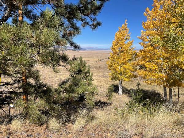 439 Corral RD, Hartsel, CO 80449