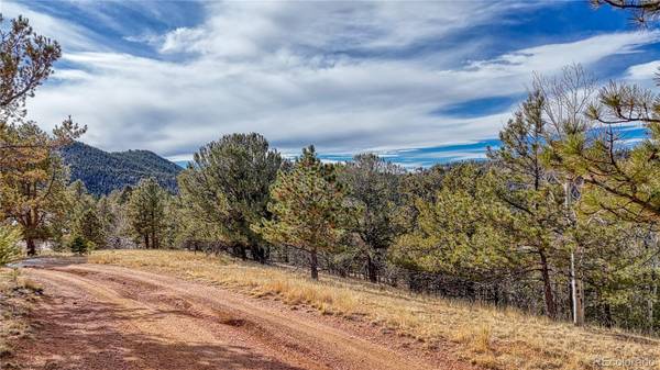 Cripple Creek, CO 80813,12 Wild Horse CIR