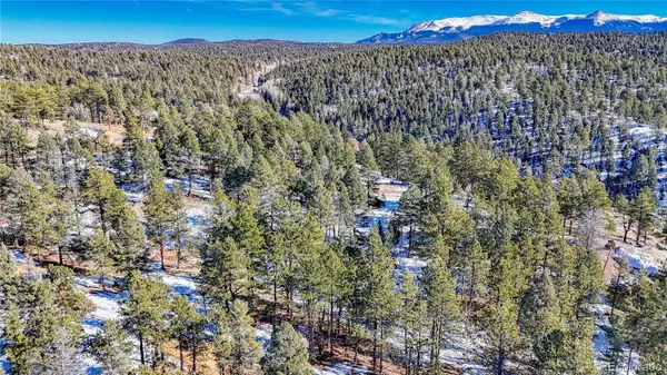 Florissant, CO 80816,79 Huntsman CIR