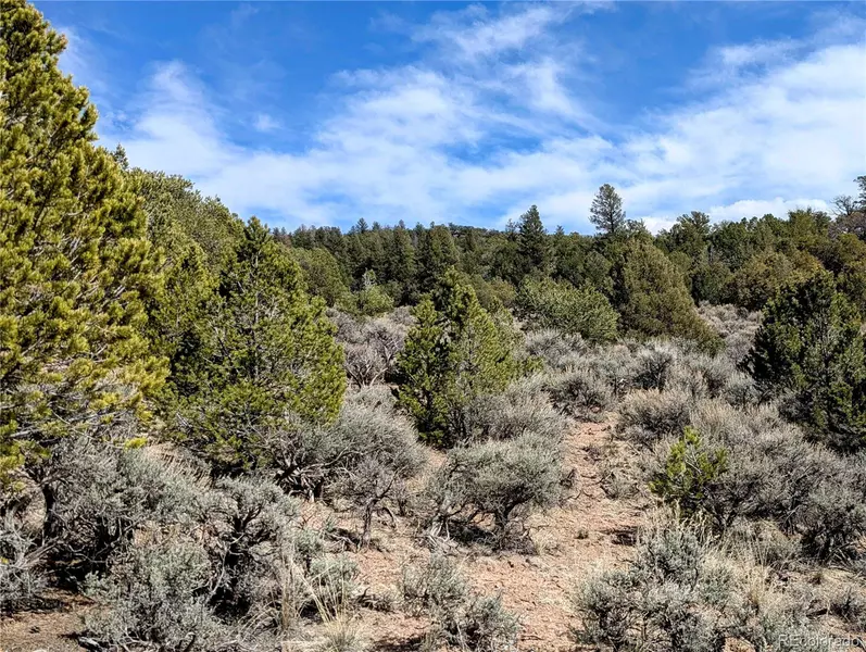 7572 Dashiell RD, Fort Garland, CO 81133