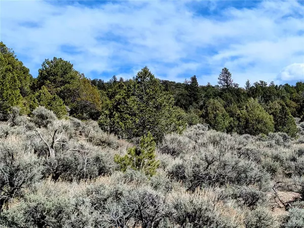 Fort Garland, CO 81133,7572 Dashiell RD