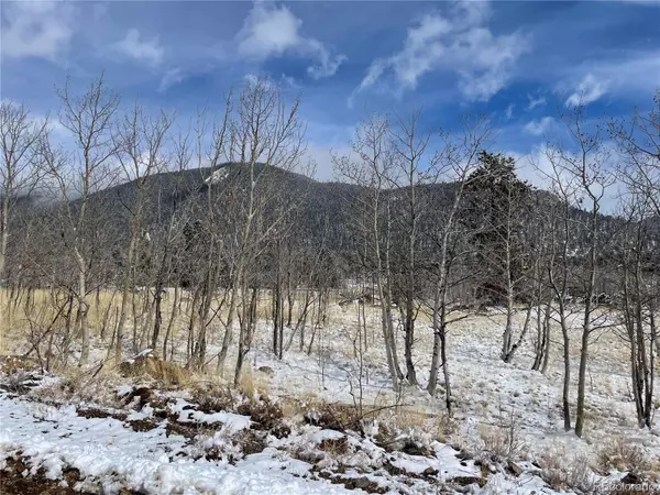 Hartsel, CO 80449,99 Teller ST