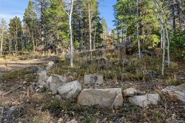 84 Severance Lodge RD, Black Hawk, CO 80422