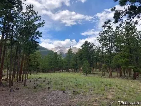 Buena Vista, CO 81211,16805 Pine Grove Pkwy