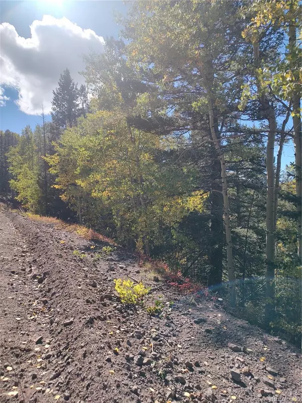 Fort Garland, CO 81133,Lot 5374