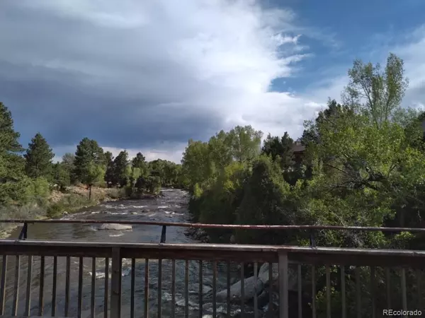 Buena Vista, CO 81211,112 River Run DR