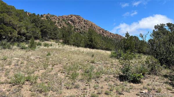 Silver Cliff, CO 81252,516 Durfee CIR