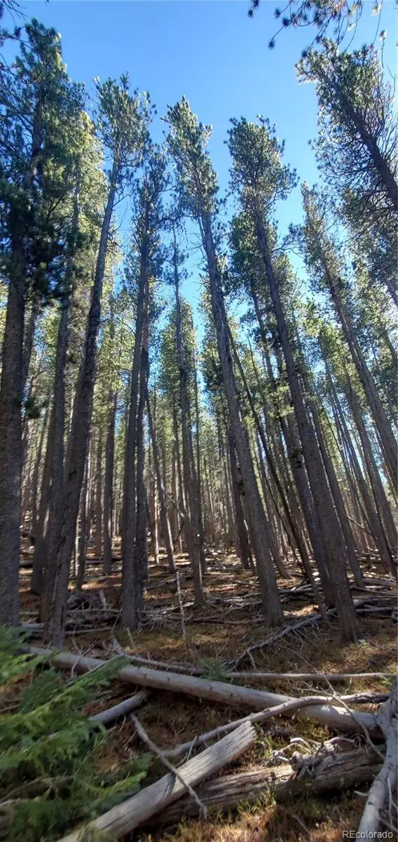 Fort Garland, CO 81133,Lot 2682 & 2683 Purnell LN