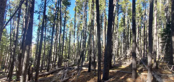 Fort Garland, CO 81133,Lot 2682 & 2683 Purnell LN