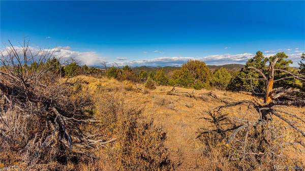 Cotopaxi, CO 81223,40 Acres McClure Gulch RD