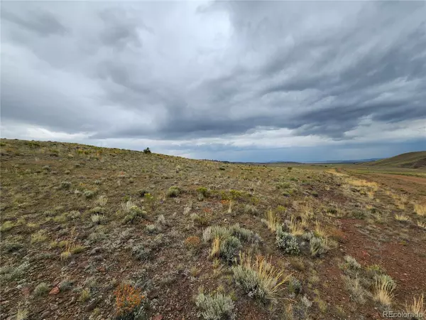 Hartsel, CO 80449,Thrush LN