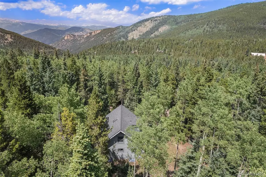 98 Evergreen LN, Idaho Springs, CO 80452
