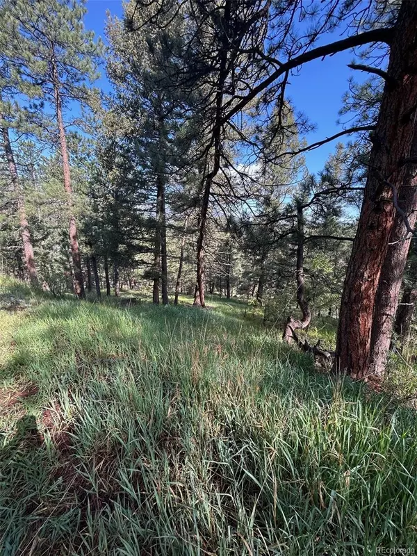 Evergreen, CO 80439,0 Camel Heights CIR