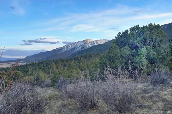 Buena Vista, CO 81211,30034 Creek RUN