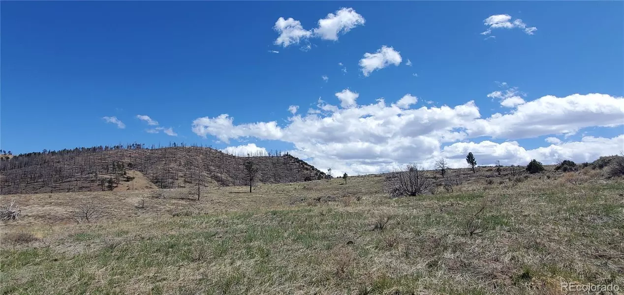 Lot 7698 Marie RD, Fort Garland, CO 81133