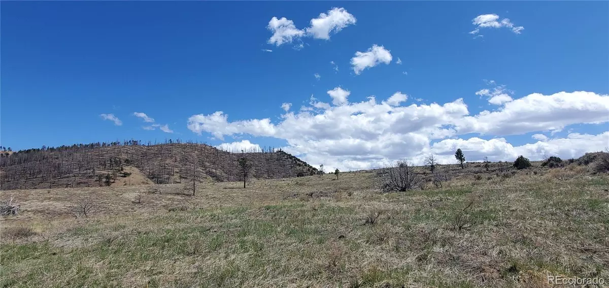 Fort Garland, CO 81133,Lot 7698 Marie RD