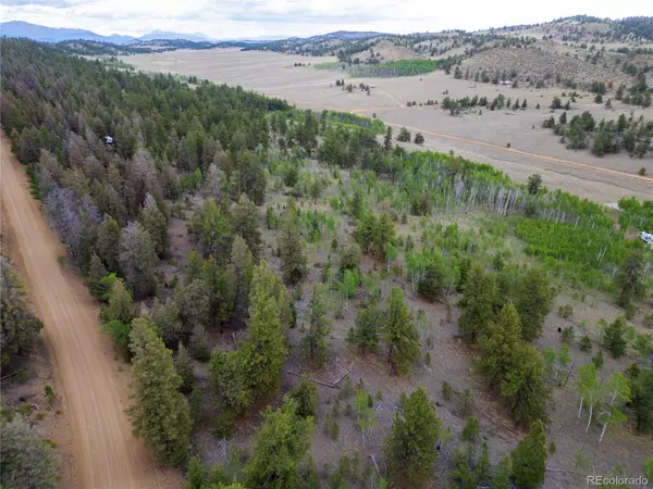 Hartsel, CO 80449,2396 Fitzsimmons RD