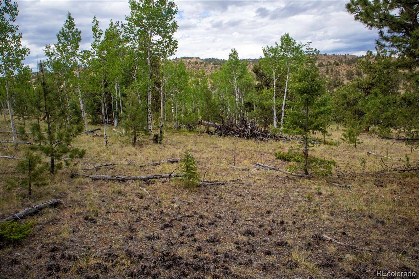 Hartsel, CO 80449,2396 Fitzsimmons RD