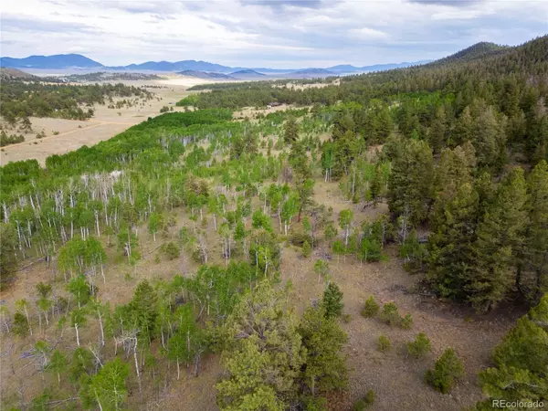 2396 Fitzsimmons RD, Hartsel, CO 80449