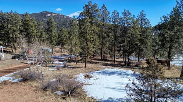 12362 Polly DR, Pine, CO 80470