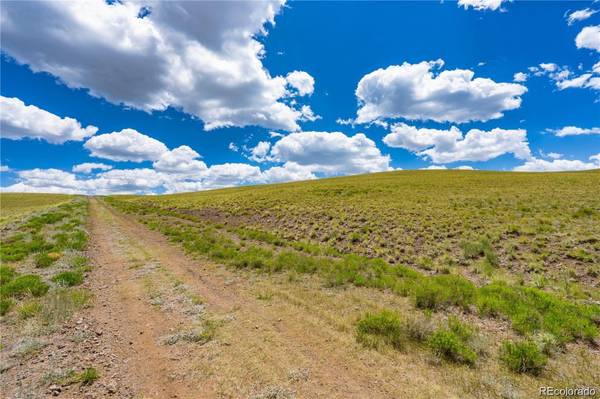 Hartsel, CO 80449,TBD (LOT 4675)