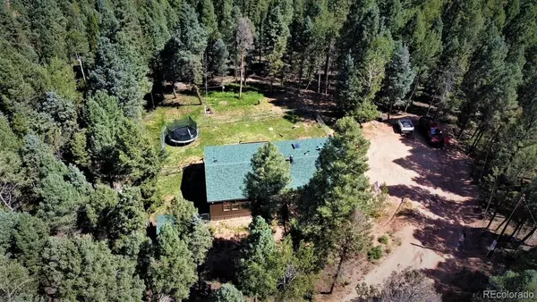 453 Donzi TRL, Florissant, CO 80816