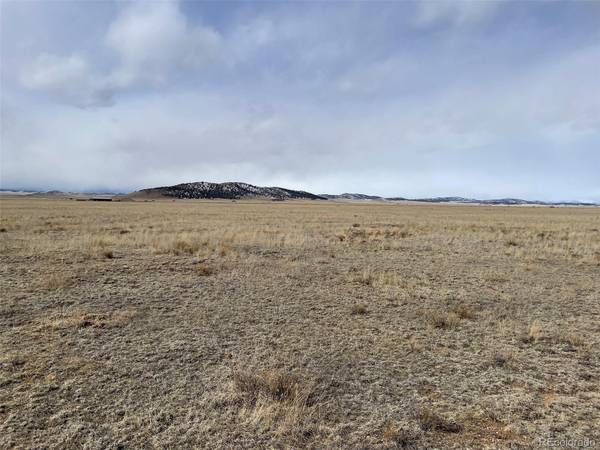 00 Montoya LN, Hartsel, CO 80449