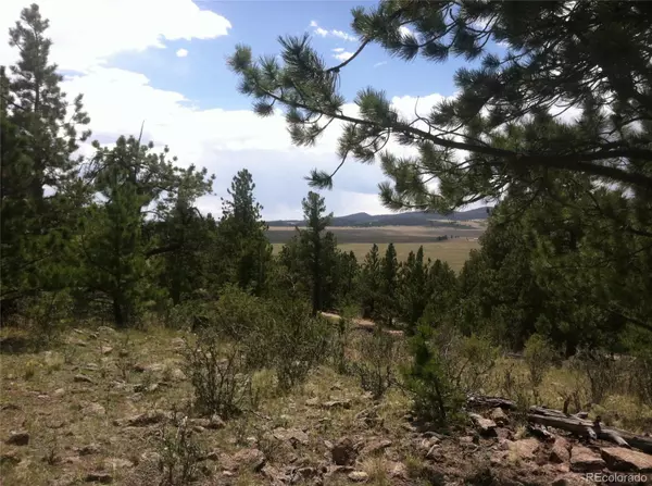 Hartsel, CO 80449,256 Bandana RD