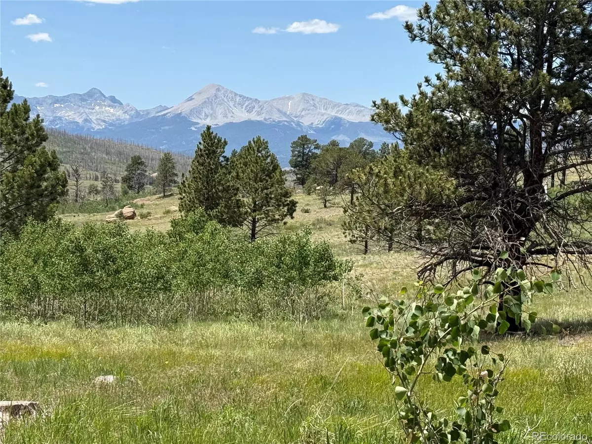 Fort Garland, CO 81133,Lot 1103 Emery LOOP