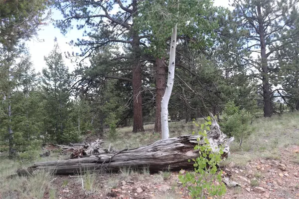Hartsel, CO 80449,1519 Bolster DR