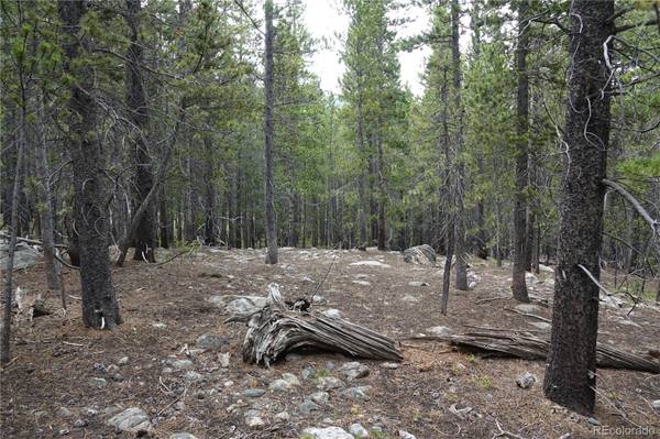 Idaho Springs, CO 80452,00 Upper Forest Rd