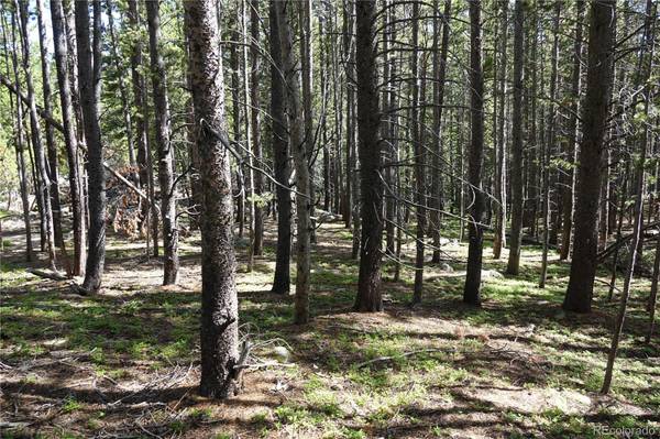 00 Upper Forest Rd, Idaho Springs, CO 80452