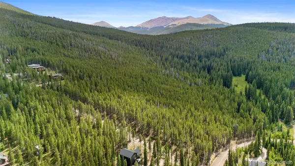 Breckenridge, CO 80424,64 County Road 534