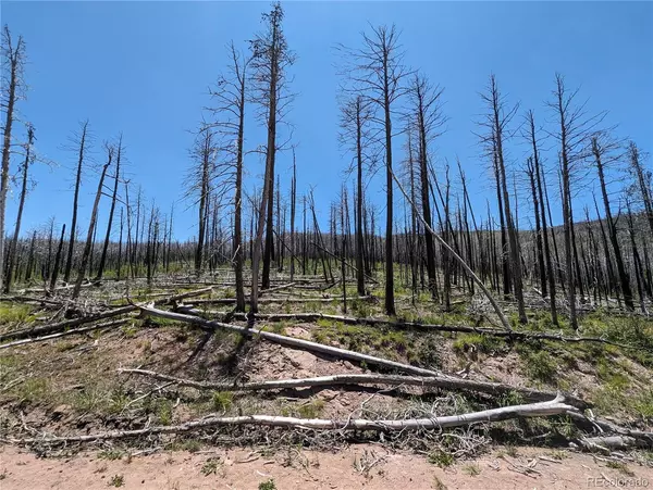 Fort Garland, CO 81133,841 Slaoui PL